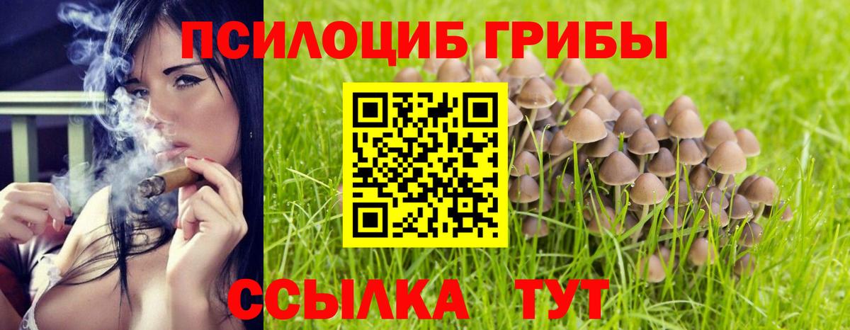 Галлюциногенные грибы мицелий Орехово-Зуево