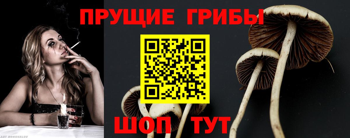 Галлюциногенные грибы Cubensis Орехово-Зуево